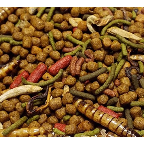 Gourmet Blend - Aquatic Turtle Blend with Assorted Pellets & Gian...