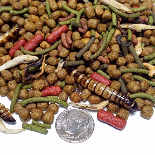 Gourmet Blend - Aquatic Turtle Blend with Assorted Pellets & Gian...