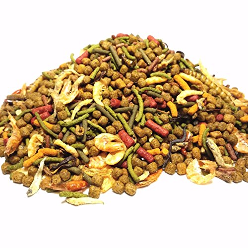 Gourmet Blend - Ultra Aquatic Turtle Blend, Complete Diet for Tur...
