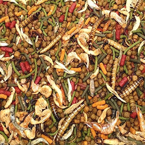 Gourmet Blend - Ultra Aquatic Turtle Blend, Complete Diet for Tur...