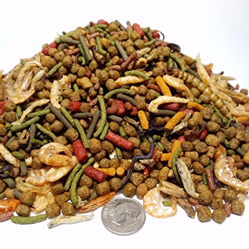Gourmet Blend - Ultra Aquatic Turtle Blend, Complete Diet for Tur...