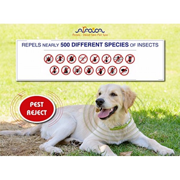 Arava Flea & Tick Prevention Collar - for Dogs & Puppies - Length...