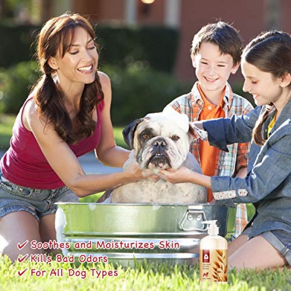 Arf Arf Allay ltch & Irritation Oatmeal Dog Shampoo for Problem S...