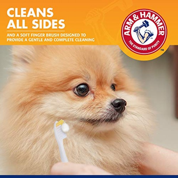 Arm & Hammer Clinical Care Travel Dental Kit For Dogs in Vanilla ...