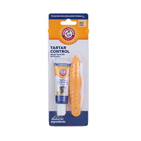 Arm & Hammer Clinical Care Travel Dental Kit For Dogs in Vanilla ...