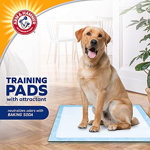 Arm & Hammer for Dogs Training Pads for Stay-at-Home Dogs | New &...
