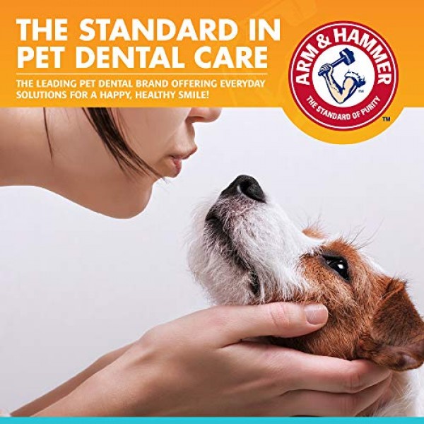 Arm & Hammer for Pets Clinical Care Dental Enzymatic Toothpaste f...