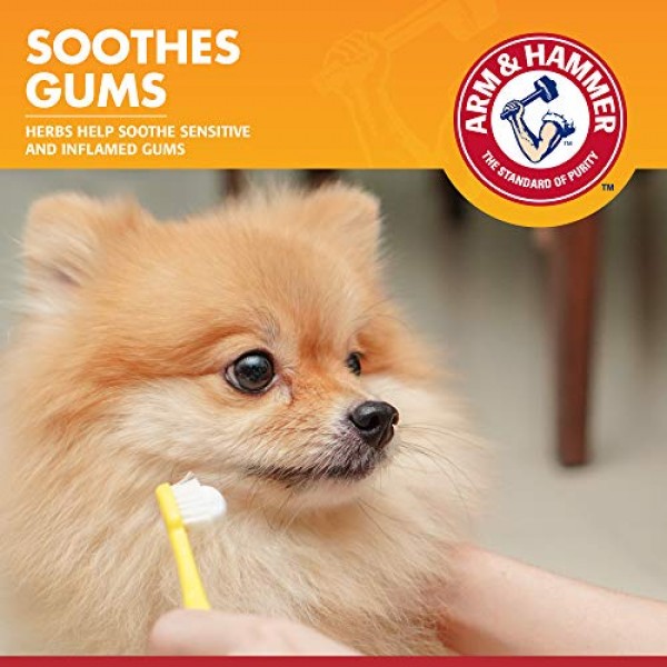 Arm & Hammer for Pets Clinical Care Enzymatic Toothpaste for Dogs...