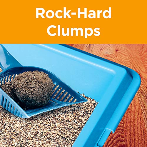 Arm & Hammer for Pets Clump & Seal AbsorbX Clumping Litter, Multi...