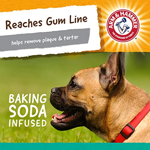 Arm & Hammer for Pets Super Treadz Gorilla Dental Chew Toy for Do...