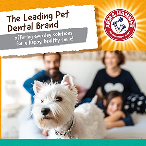 Arm & Hammer for Pets Super Treadz Gorilla Dental Chew Toy for Do...