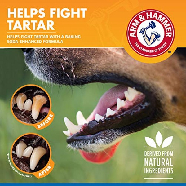 Arm & Hammer for Pets Tartar Control Dental Spray for Dogs | Dog ...