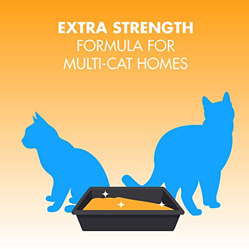 Arm & Hammer MultiCat Clumping Litter, Scented 20lb Box
