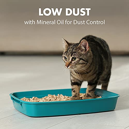 ARM & HAMMER Naturals Cat Litter, Multi Cat, 18lb Bag
