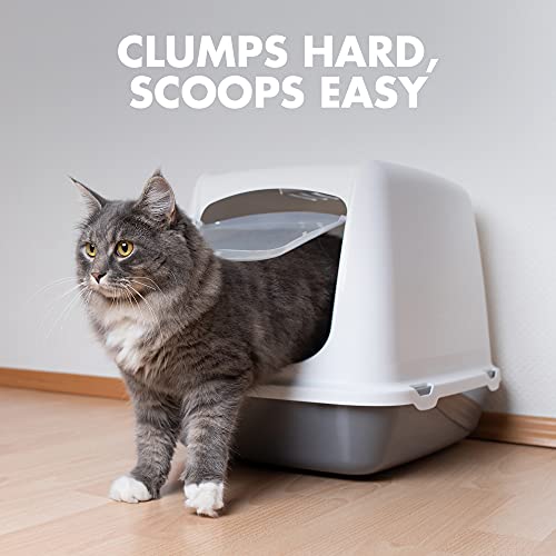 ARM & HAMMER Naturals Cat Litter, Multi Cat, 18lb Bag