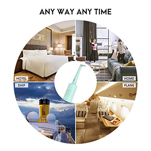 ATYIME Electric Plaque Remover Tartar Removal, Steel Grit Teeth C...