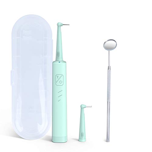 ATYIME Electric Plaque Remover Tartar Removal, Steel Grit Teeth C...
