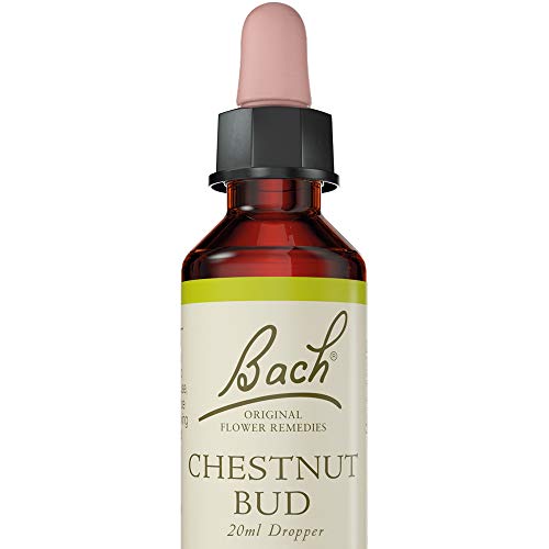 Bach Original Flower Remedies Aspen 20ml