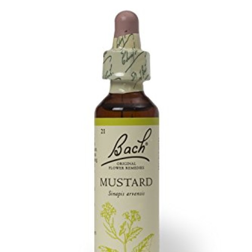 Bach Original Flower Remedies Mustard 20ml