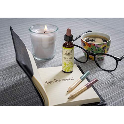 Bach Original Flower Remedies 20ml dropper - Chestnut Bud Aescul...