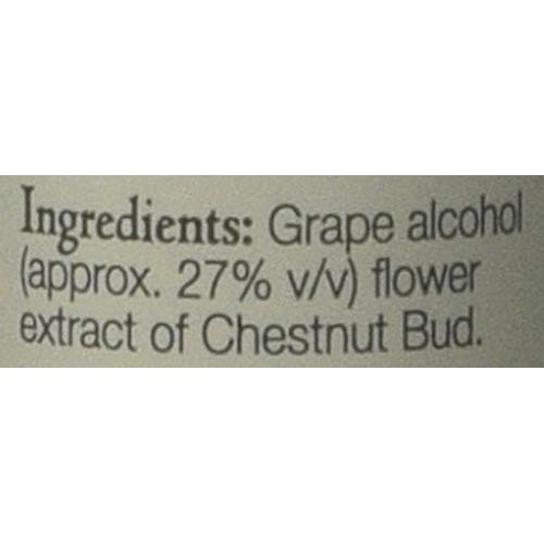 Bach Original Flower Remedies 20ml dropper - Chestnut Bud Aescul...