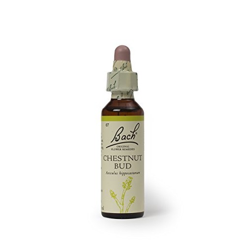 Bach Original Flower Remedies 20ml dropper - Chestnut Bud Aescul...