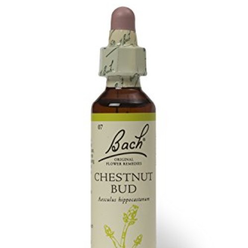 Bach Original Flower Remedies 20ml dropper - Chestnut Bud Aescul...
