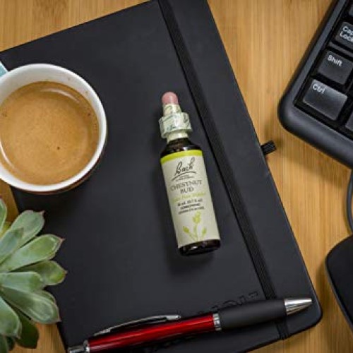 Bach Original Flower Remedies, Chestnut Bud for Learning from Mis...