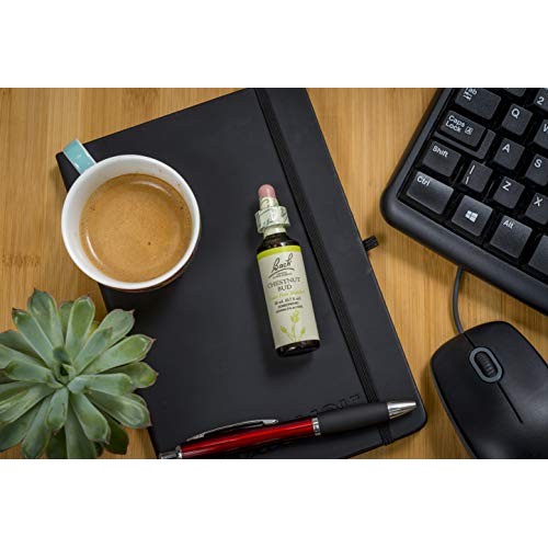Bach Original Flower Remedies, Chestnut Bud for Learning from Mis...