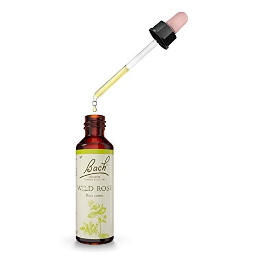 Bach Original Flower Remedies Wild Rose 20ml