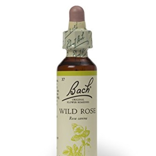 Bach Original Flower Remedies Wild Rose 20ml