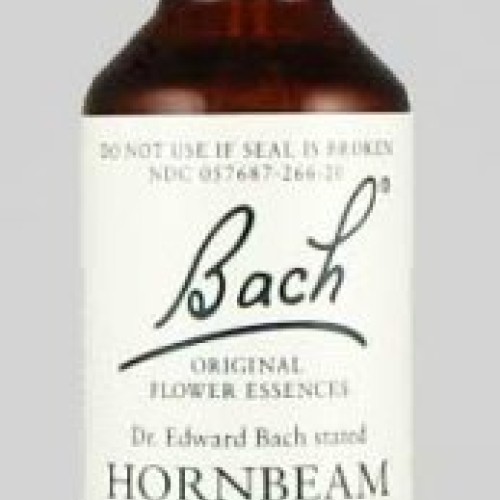 Hornbeam 20 ml Carpinus betulus - Bach Flower Essences