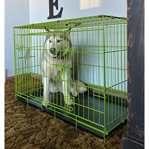 PET Expressions Luxury Colorful 36 Inch Foldable Dog Crate with 2...
