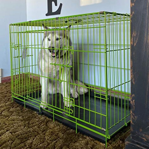 PET Expressions Luxury Colorful 36 Inch Foldable Dog Crate with 2...