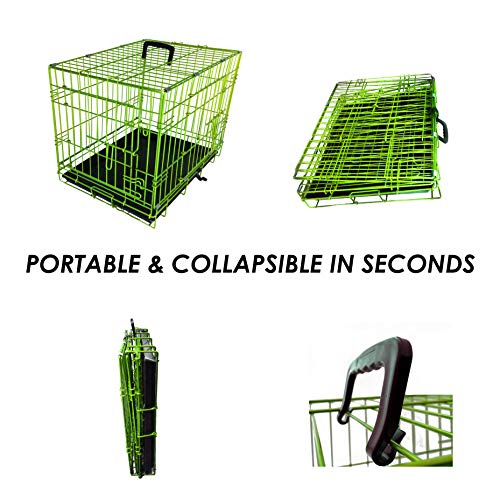 PET Expressions Luxury Colorful 36 Inch Foldable Dog Crate with 2...