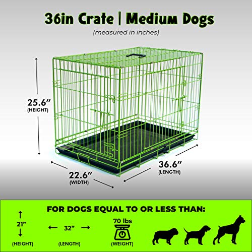 PET Expressions Luxury Colorful 36 Inch Foldable Dog Crate with 2...