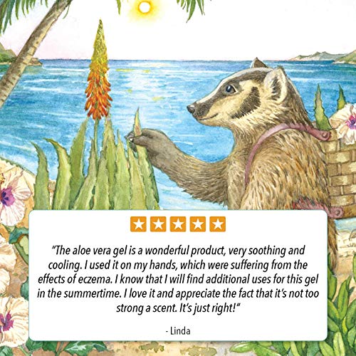 Badger - Aloe Vera Gel, Unscented, 96% Pure Aloe Vera Juice, Mois...