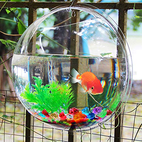 Balacoo Acrylic Wall Mounted Fish Bowl Hanging Aquarium Fish Bubb...