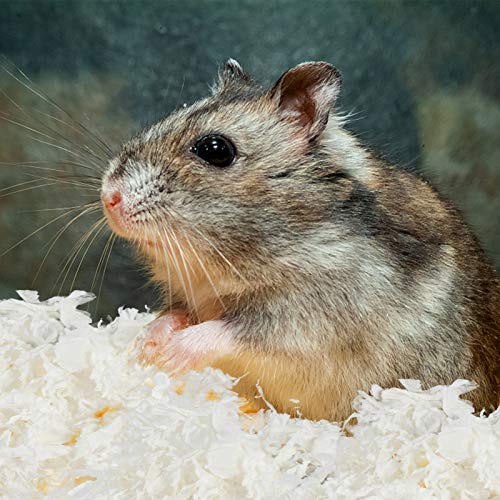 balacoo Small Pet White Paper Bedding Unbleached Absorbent Liners...