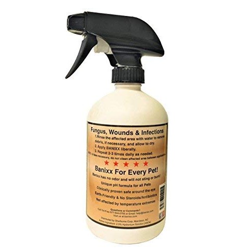 Banixx Horse and Pet Care 16 oz