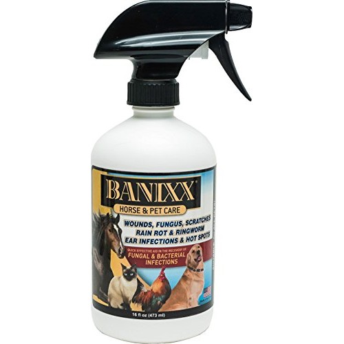 Banixx Horse and Pet Care 16 oz