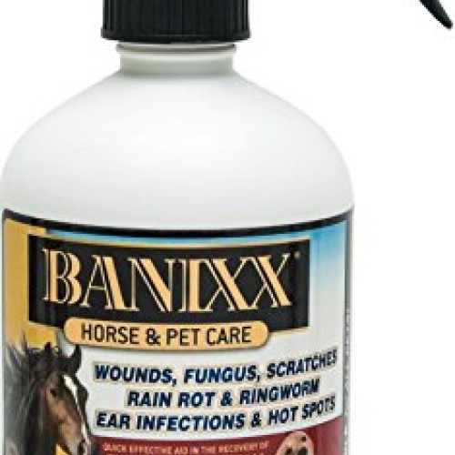Banixx Horse and Pet Care 16 oz