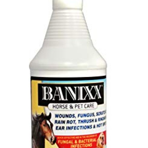 Banixx Horse & Pet Care 32oz