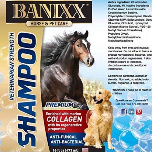 Banixx Medicated Anti-Fungal, Anti-Bacterial Shampoo