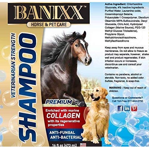 Banixx Medicated Anti-Fungal, Anti-Bacterial Shampoo