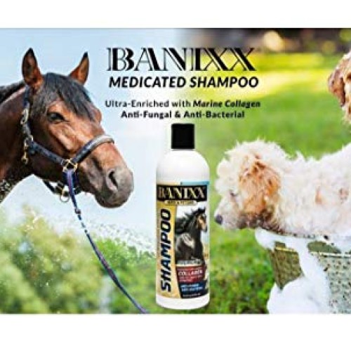 Banixx Medicated Anti-Fungal, Anti-Bacterial Shampoo