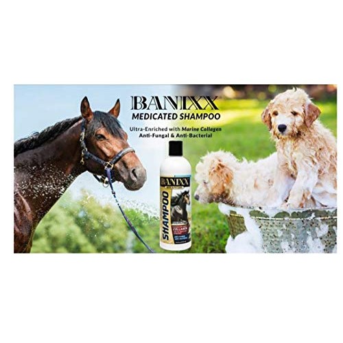 Banixx Medicated Anti-Fungal, Anti-Bacterial Shampoo