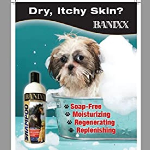 Banixx Medicated Anti-Fungal, Anti-Bacterial Shampoo