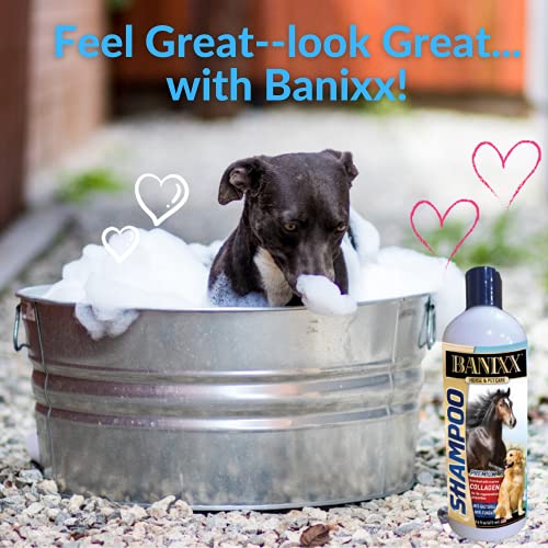 Banixx Medicated Anti-Fungal, Anti-Bacterial Shampoo