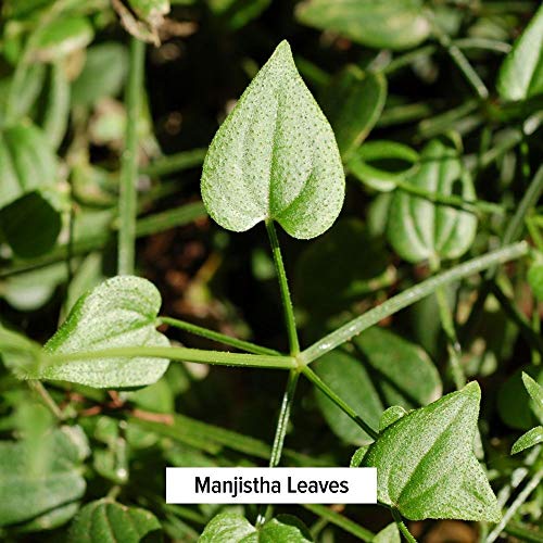 Banyan Botanicals Manjistha Powder, 1/2 Pound - USDA Organic - Ru...